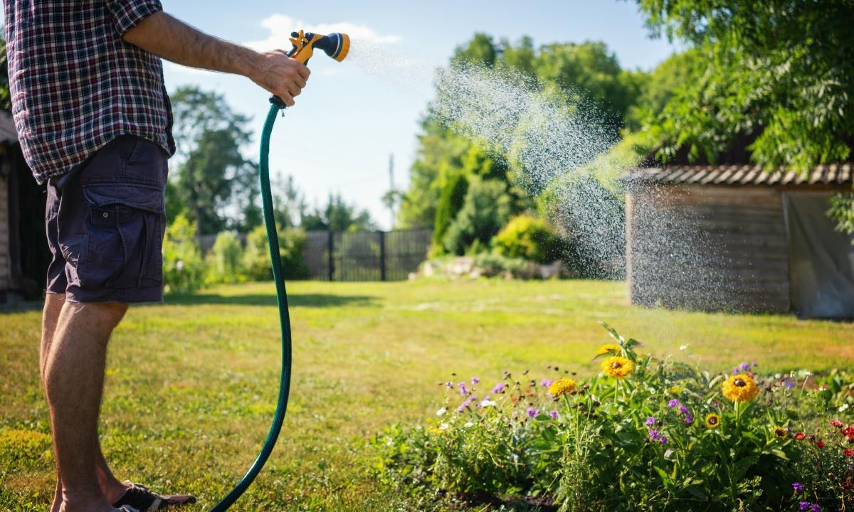 How to Lower Your Water Bill: Summer Irrigation Tips